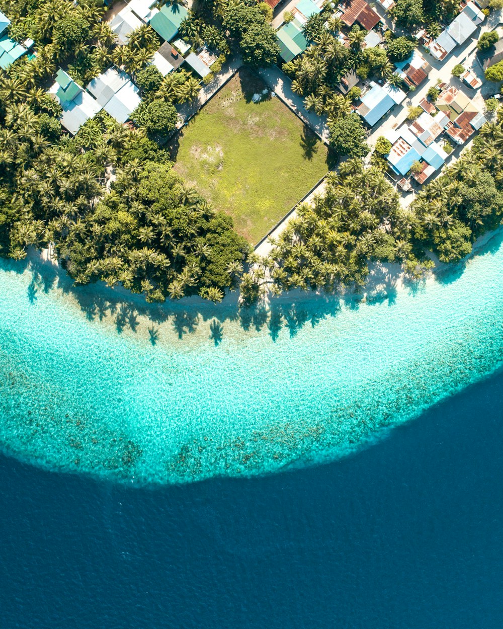 buildings, grass, and trees on island during day