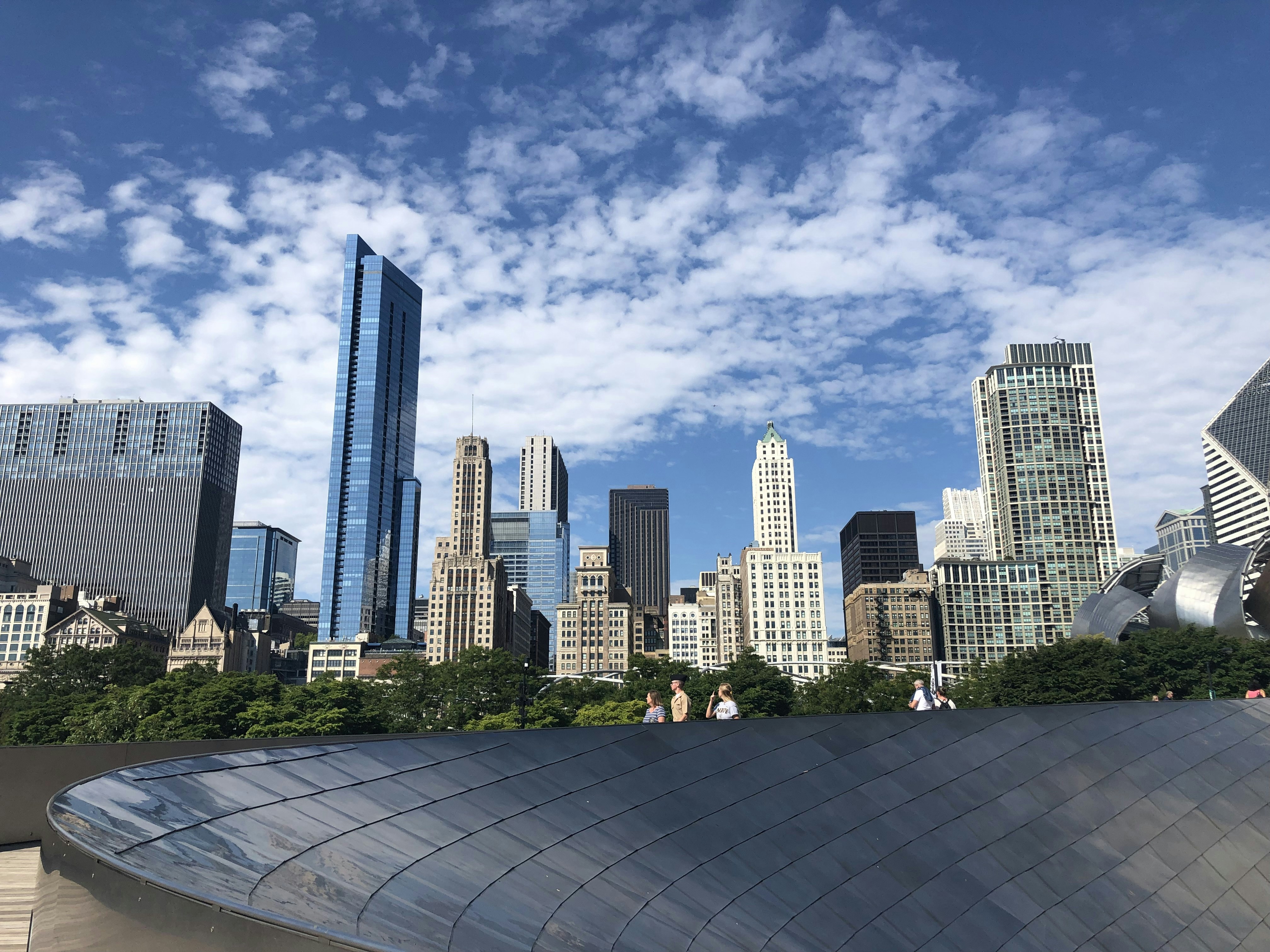 Chicago skyline from the Adler Planetarium viewpoint - downtown chicago views