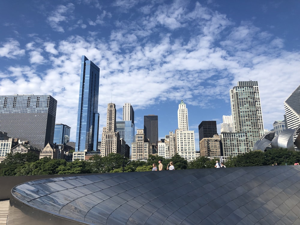 a view of a city skyline from a park