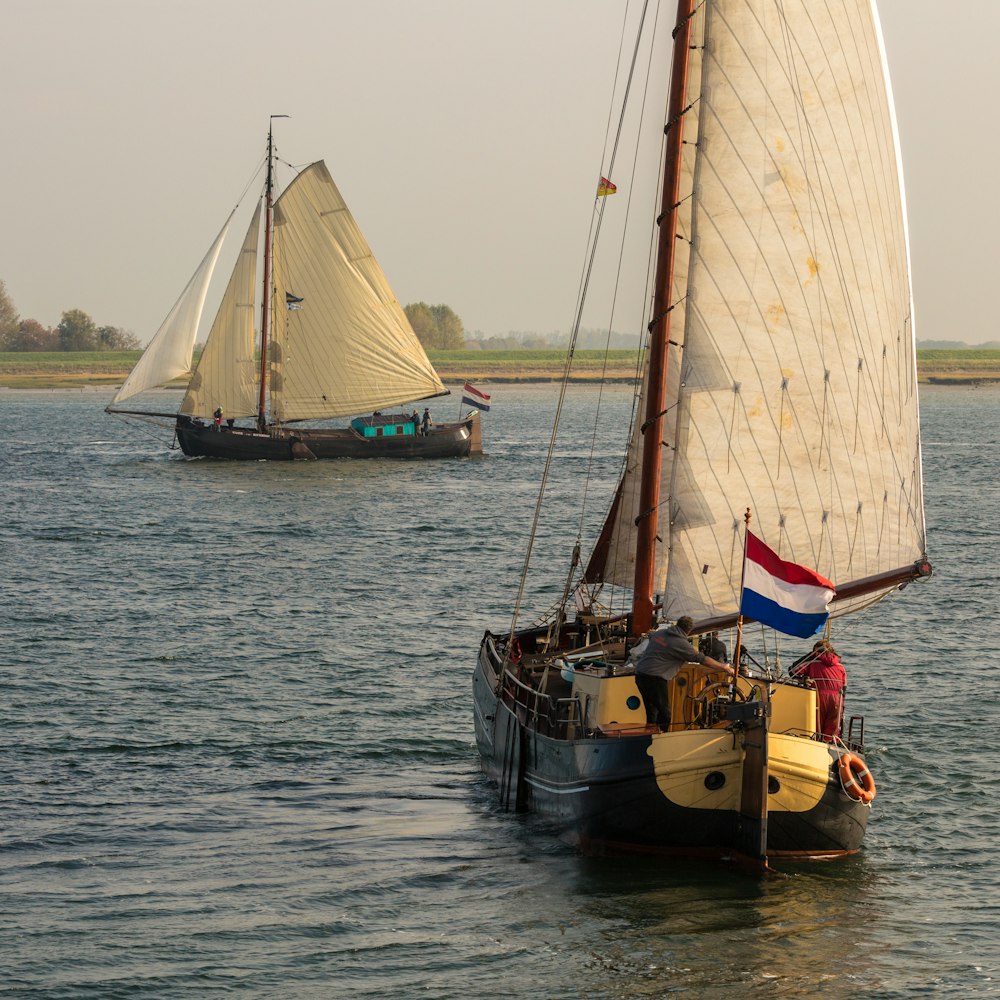 two brown and white sail boats on sea