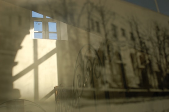 A dreamy reflection of a window and outdoor scene appears on a surface, blending with an interior view. The window's frame is visible against a blurred background with shadows and trees possibly depicted in the reflection.