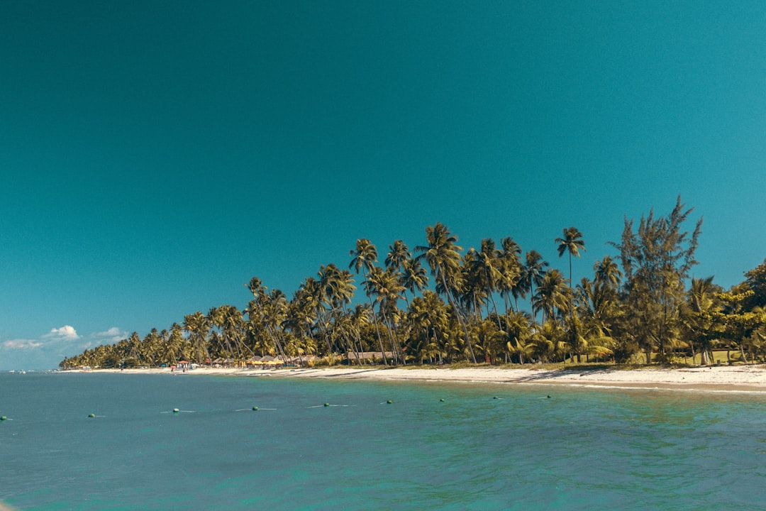 Beach photo spot Praia dos Carneiros Recife - PE