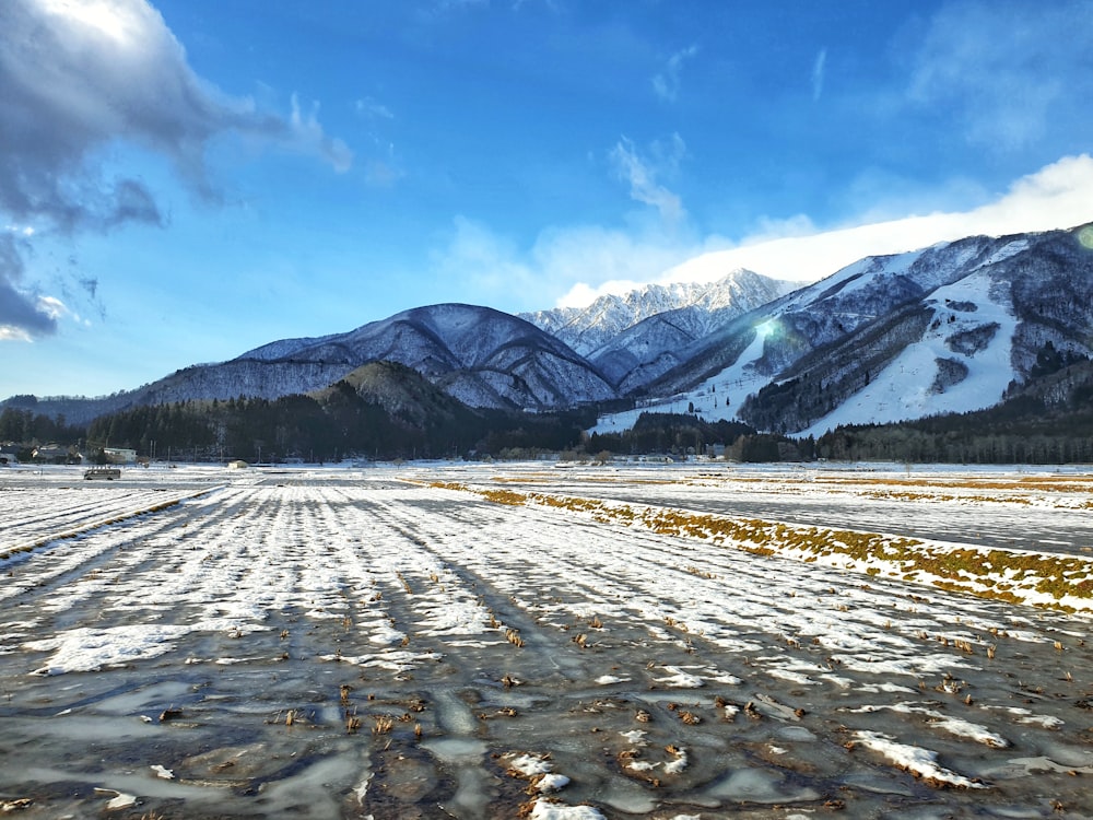 snowfield and glacier mountains during day