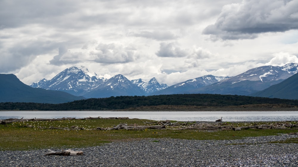 green field near body of water viewing mountain under white and gray sky