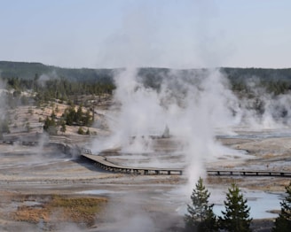 Steaming vents and hot springs are distributed across a barren landscape with sporadic vegetation. A wooden boardwalk weaves through the area, allowing safe passage over the geothermal features. In the distance, sparse trees and a hilly terrain frame the scenery.