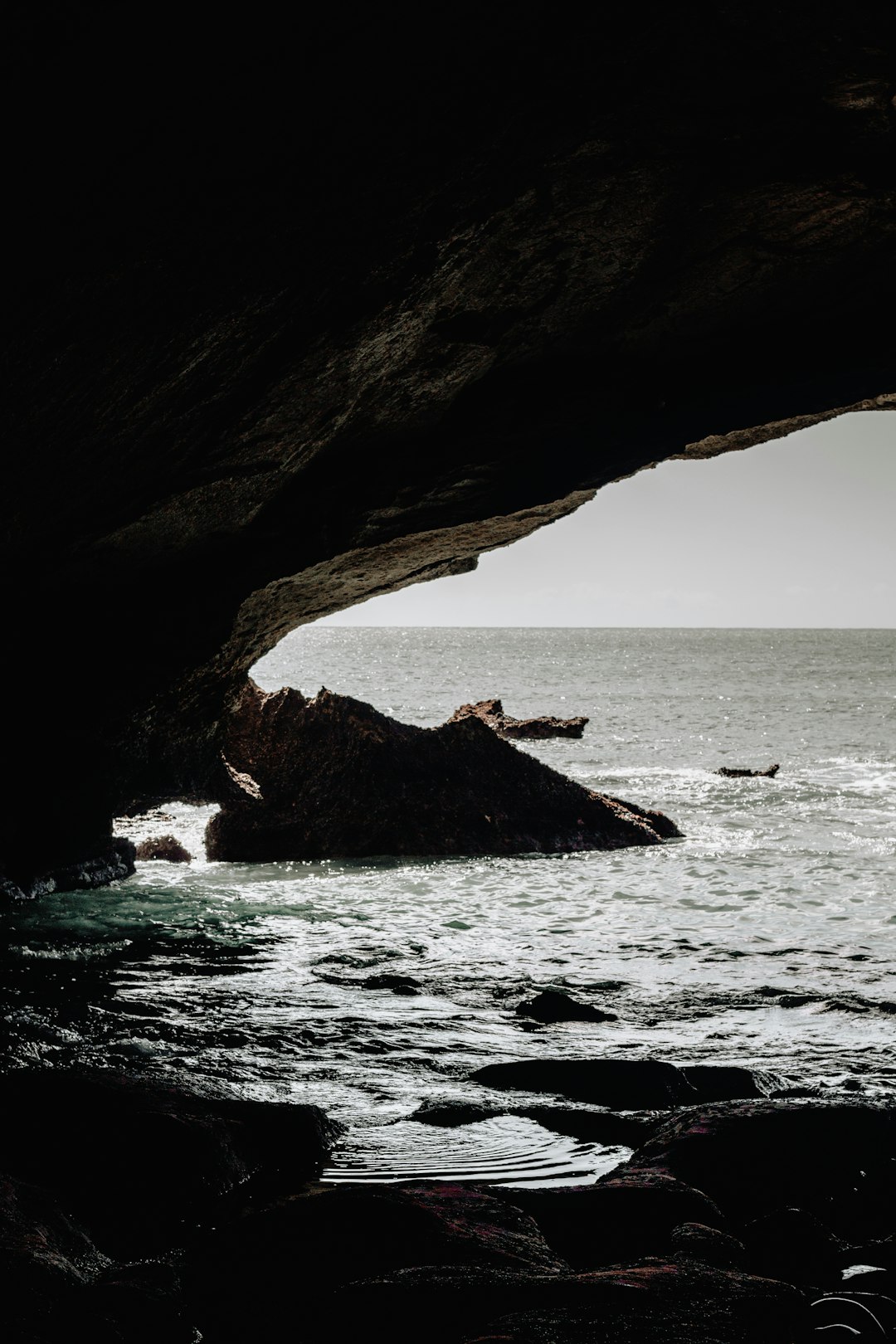 photography of seashore during daytime