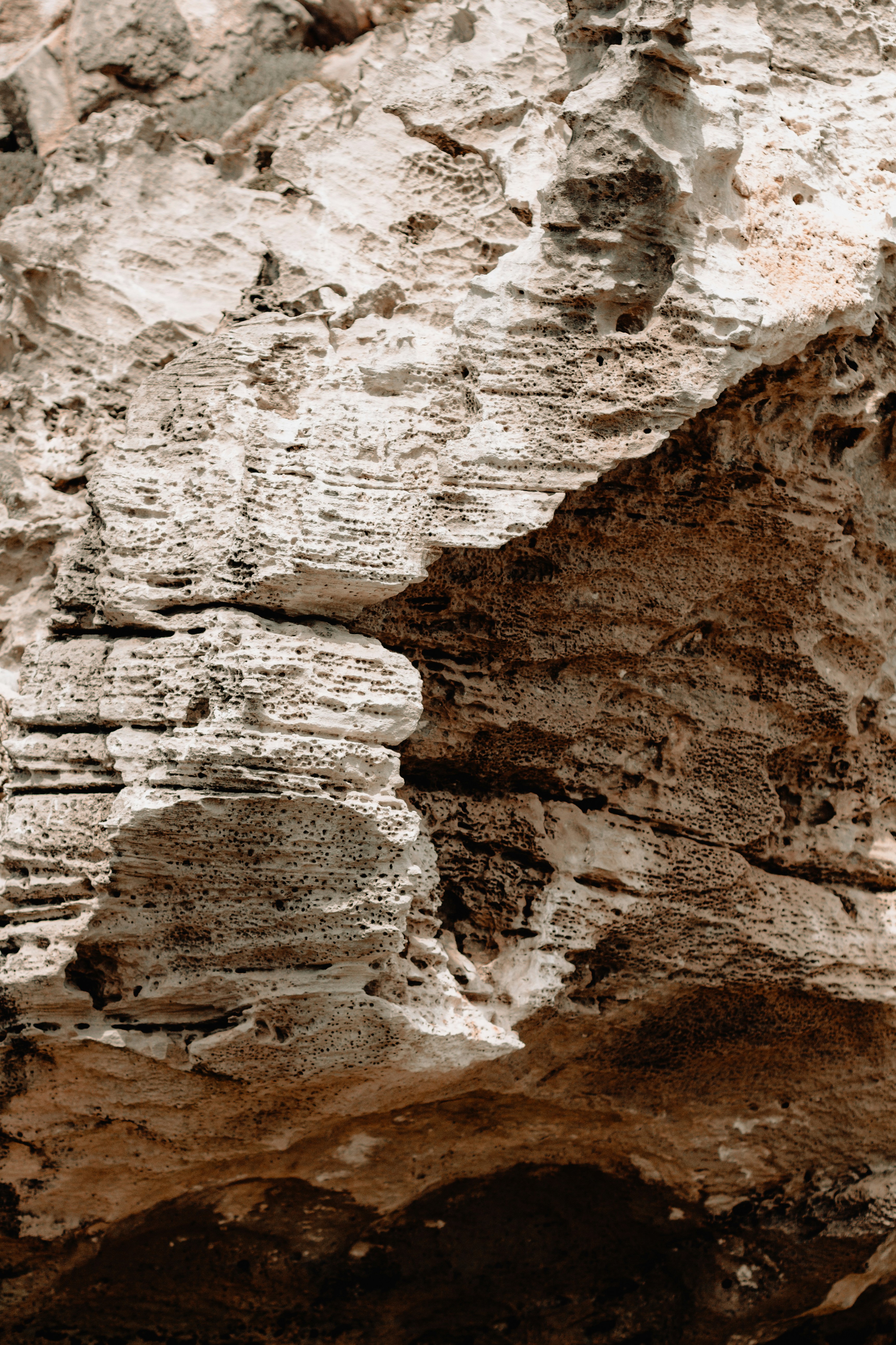 Photo by sincerelymedia