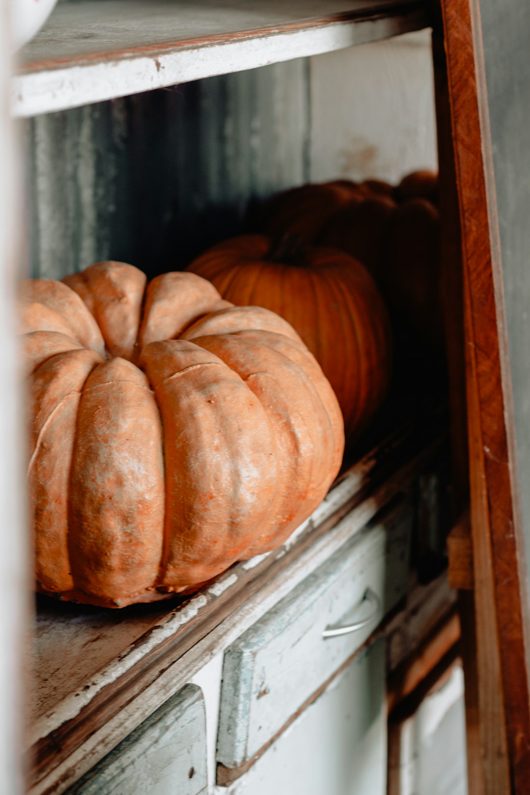 pumpkin on white shelf