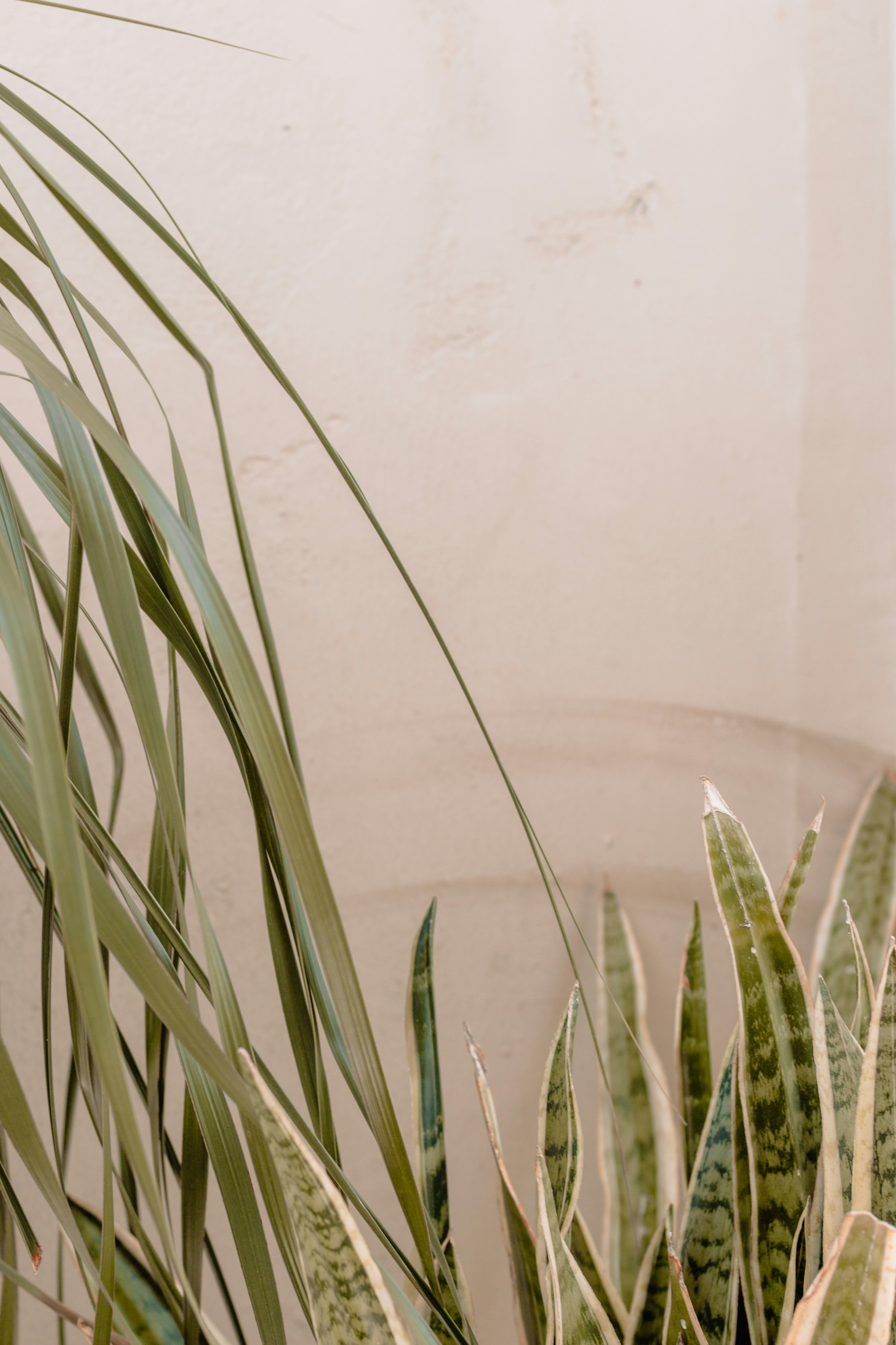 Photo by sincerelymedia