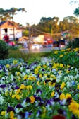 Close-up of a colorful flower bed freshly planted with seasonal blooms at a residential garden.