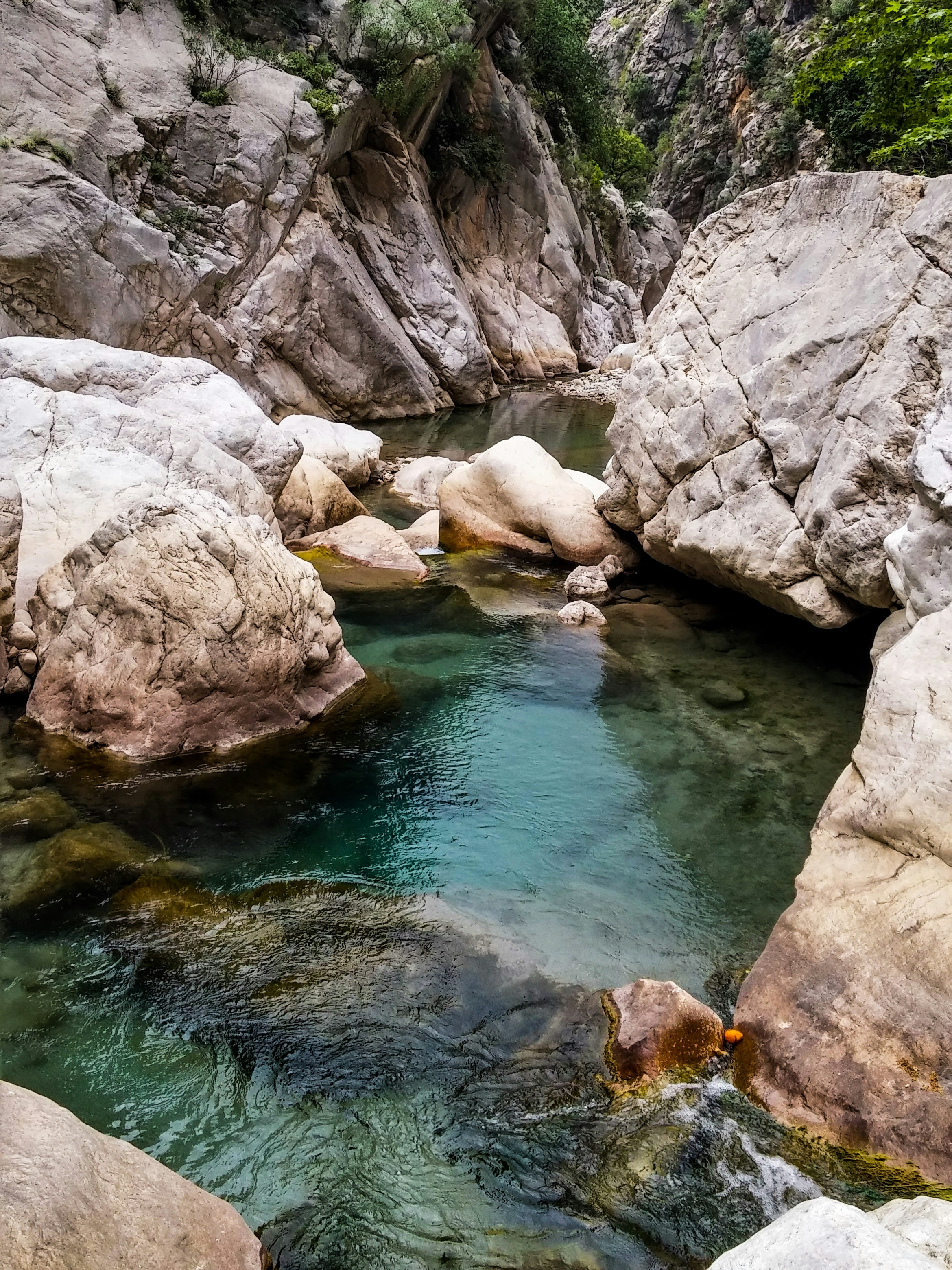 Photo by bear_lissimo