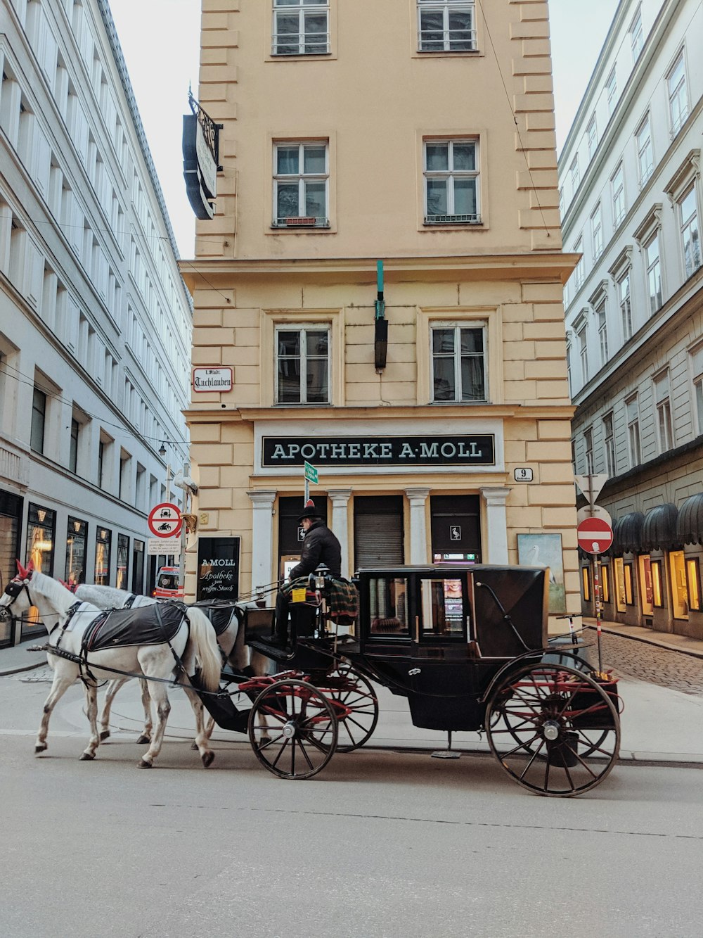 man riding carriage with horse on roadway beside building
