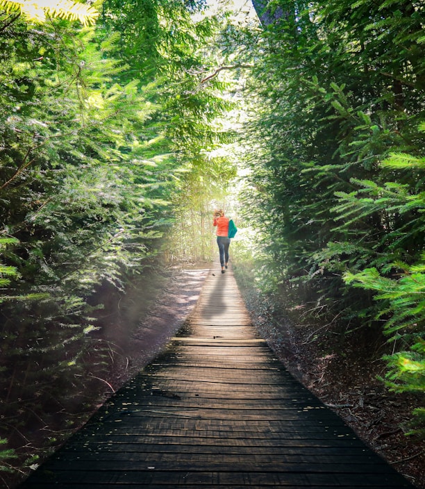 person walking on black pathway