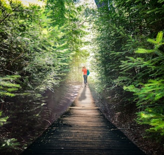 person walking on black pathway