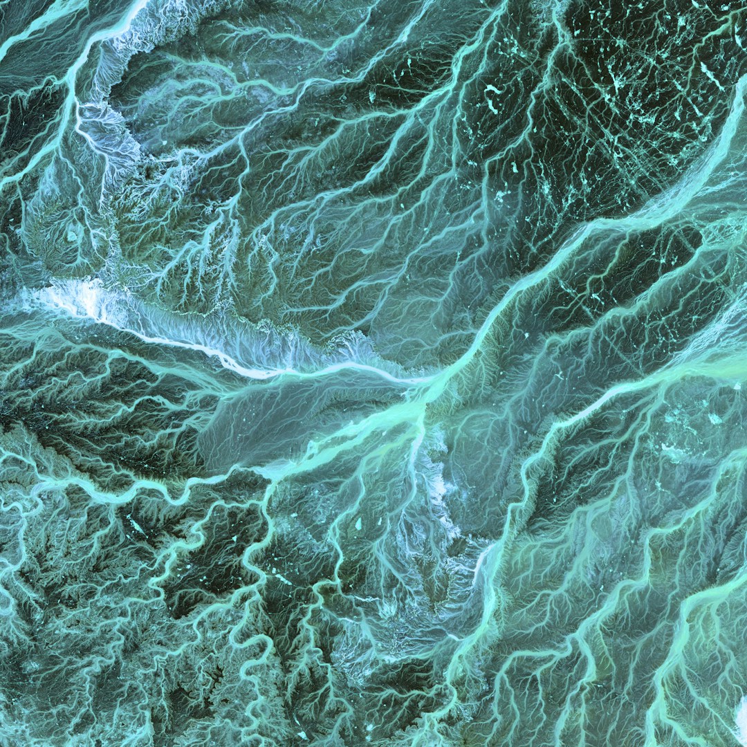 Sustainability in the Era of AI