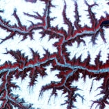 An intricate network of branching patterns resembling river systems or geological formations, featuring vivid contrasting colors of white, red, and blue. The image has a textured appearance, suggesting variations in elevation or depth.