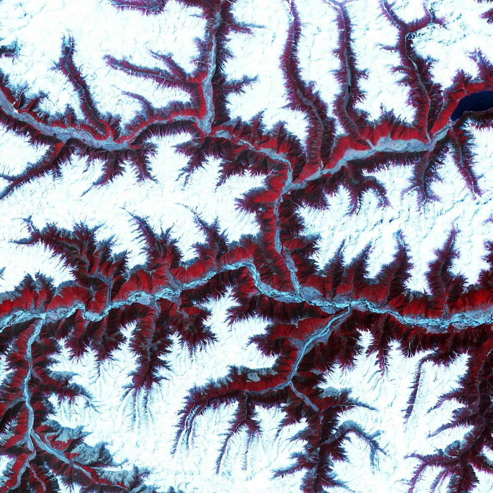 a close up of a red and white pattern on a white background