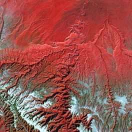 a satellite image of a red mountain range