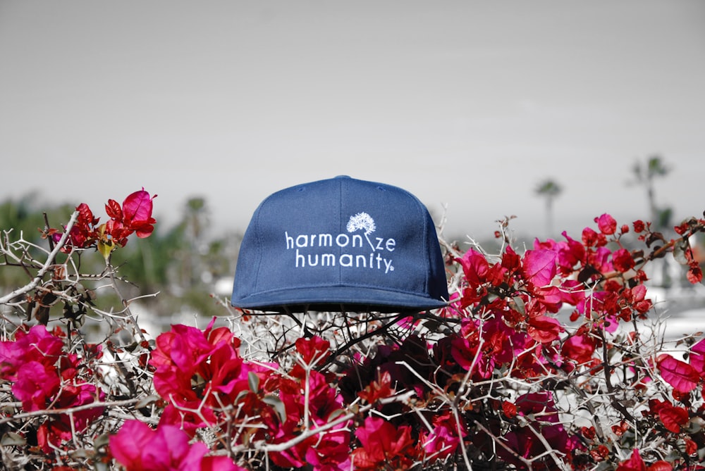 black Harmonize Humanity cap on petaled flowers