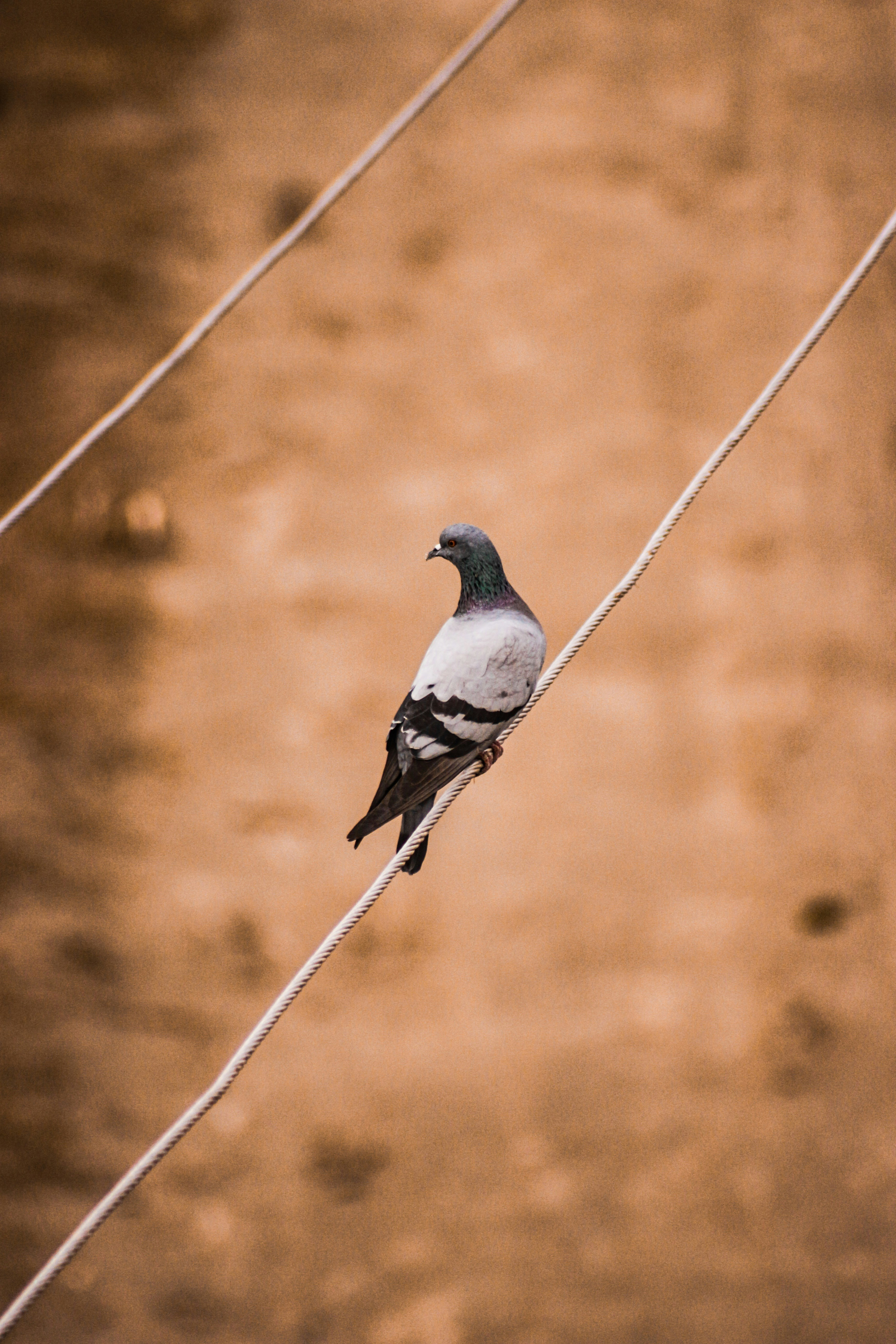 Photo by hamzazulfiqar