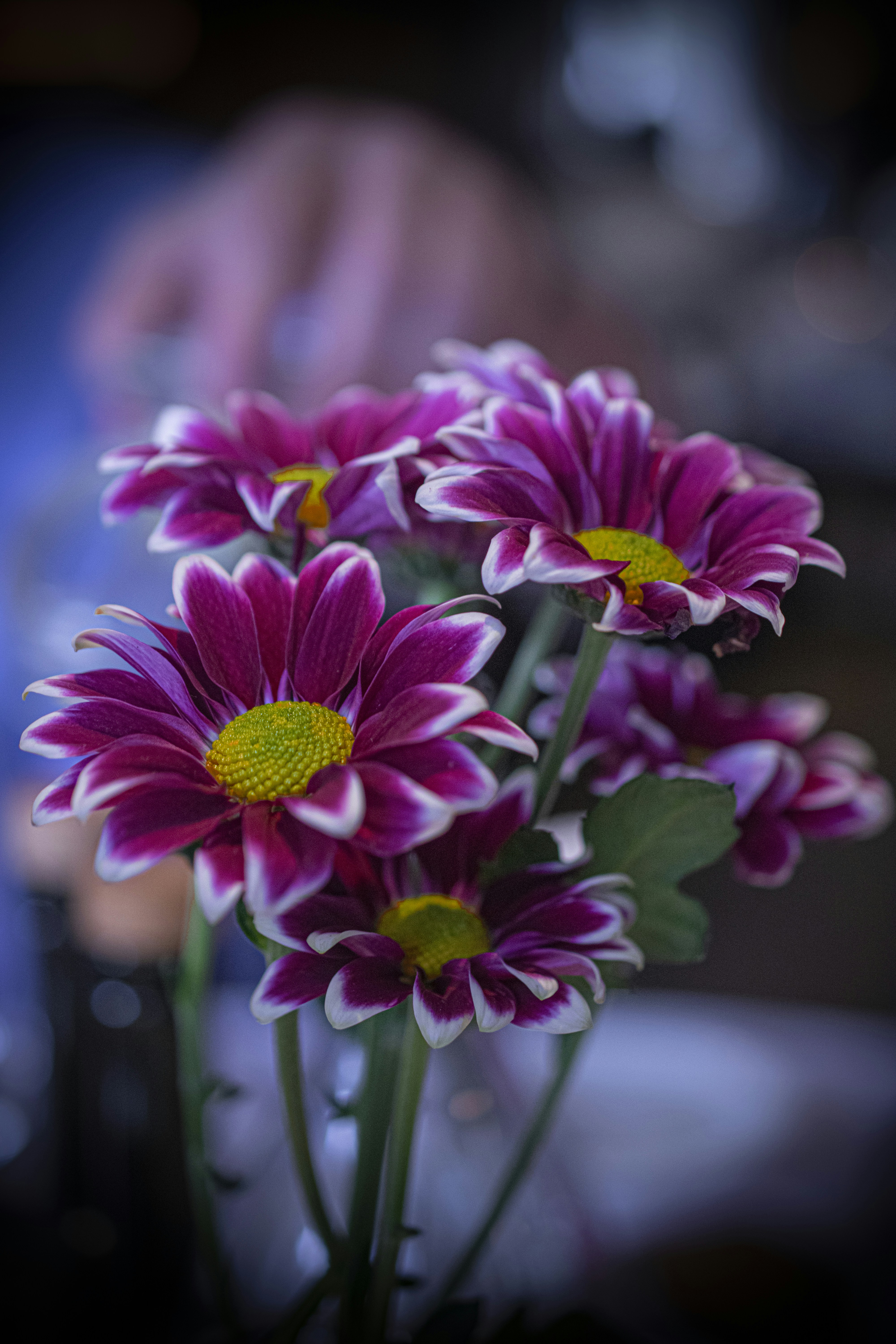 Photo by denisbayer