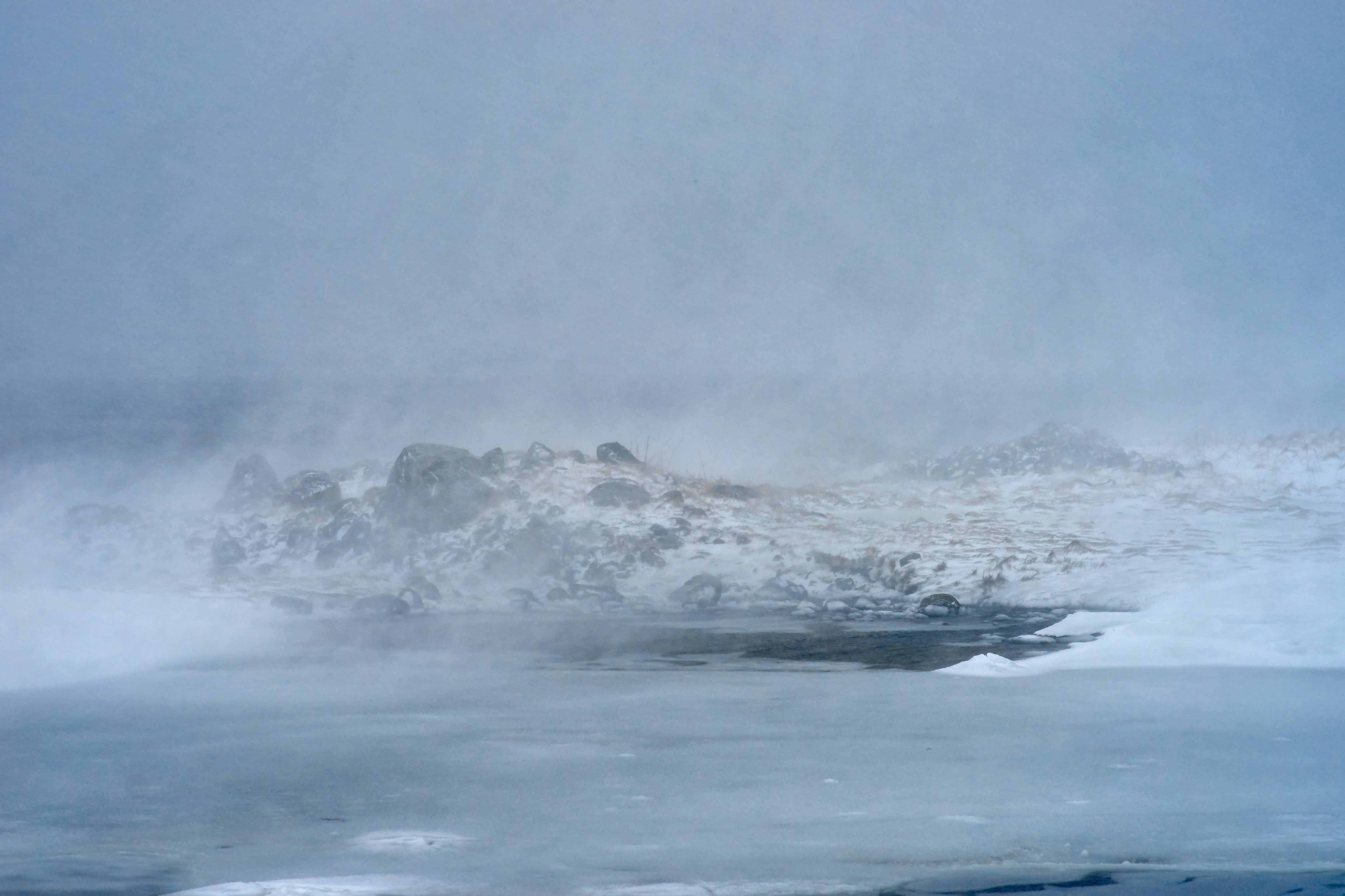 Photo by wolfgang_hasselmann