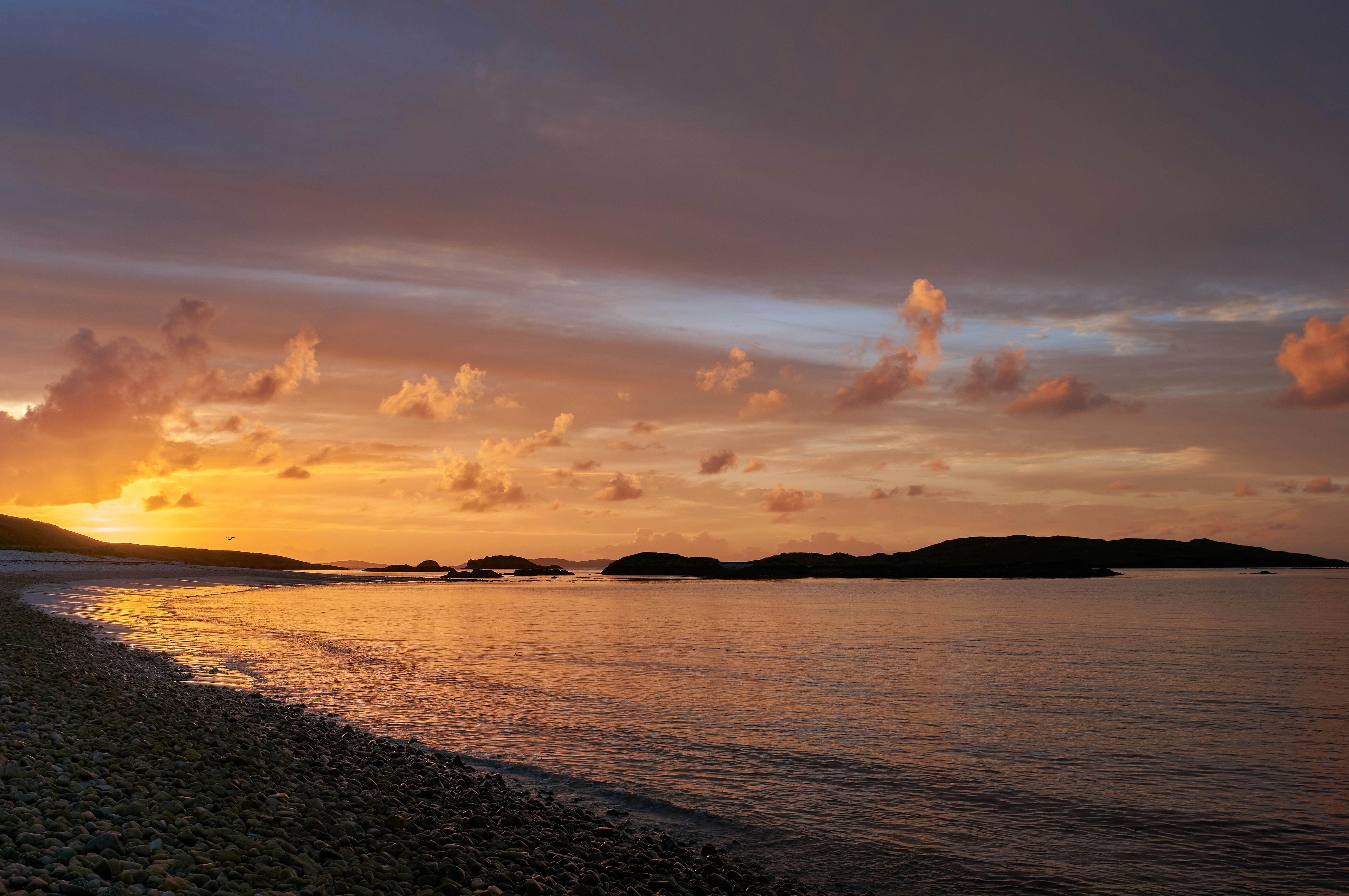 Photo by wolfgang_hasselmann