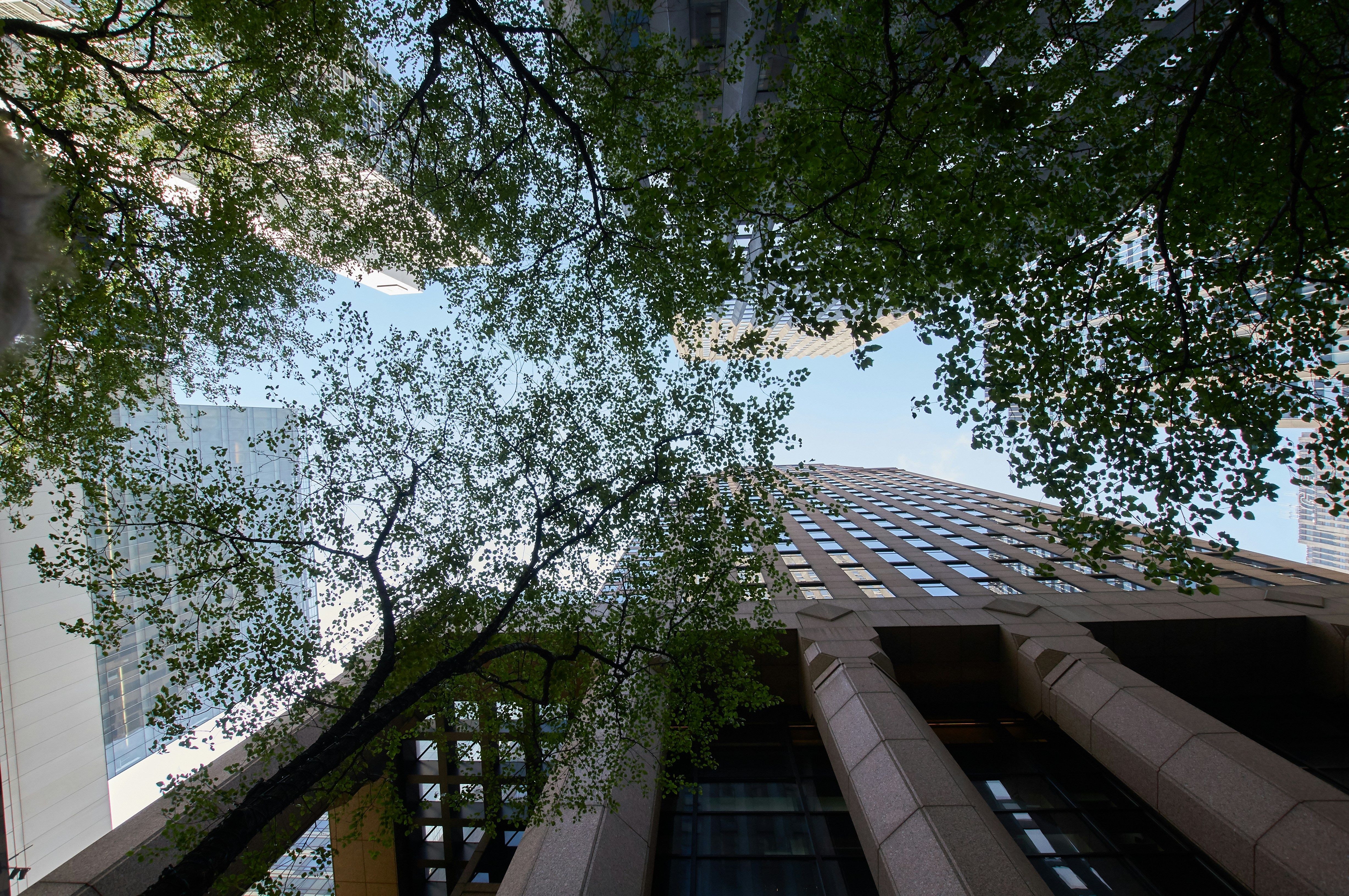 Photo by wolfgang_hasselmann