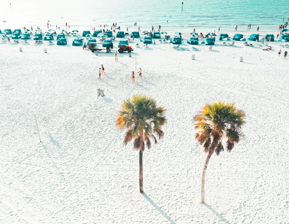 Photographie aérienne de personnes sur la plage pendant la journée