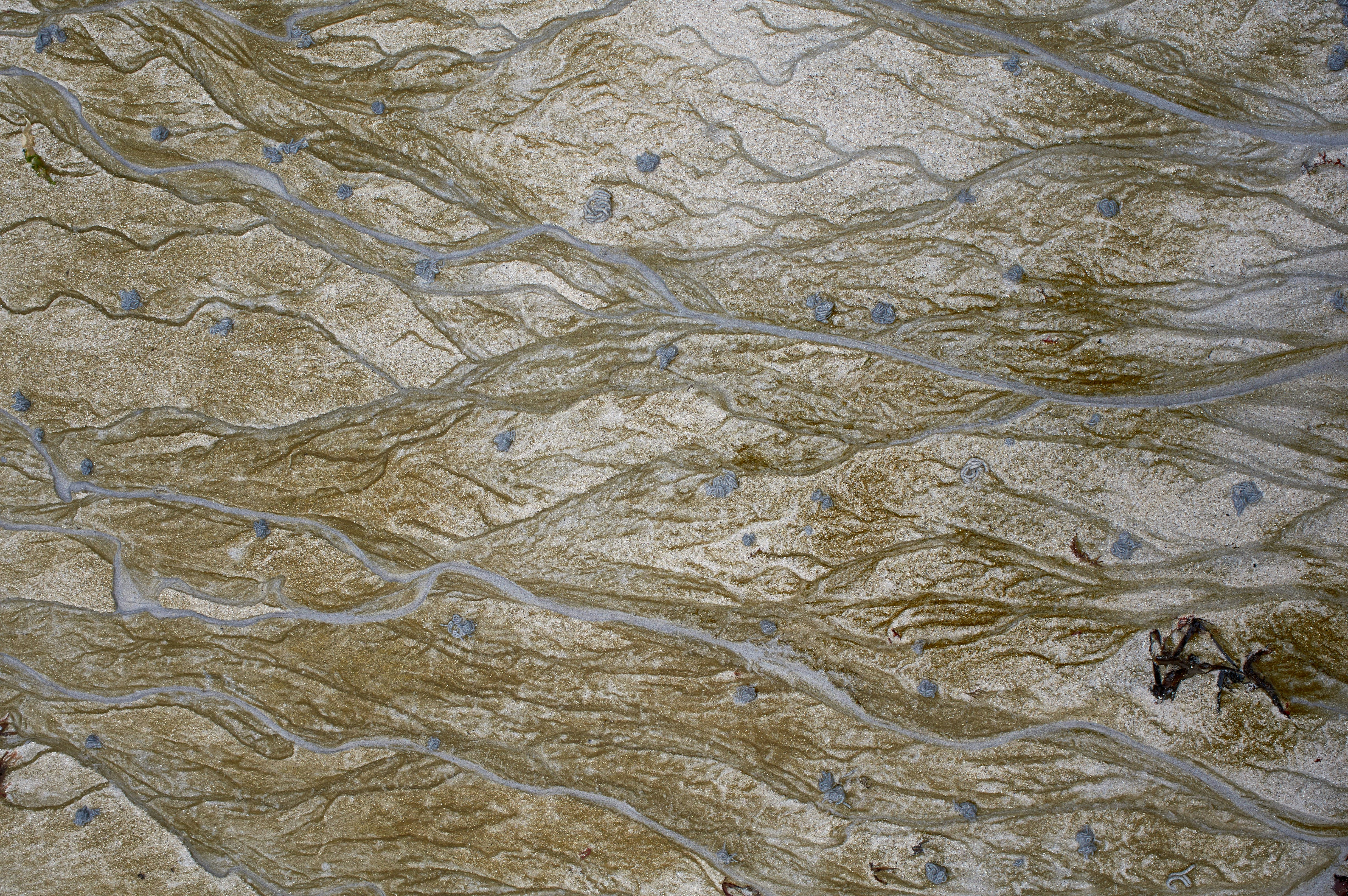 Photo by wolfgang_hasselmann