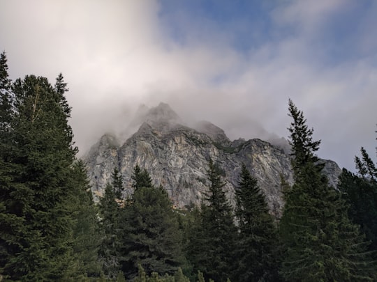 green forest trees under gray and black mountain during daytime in High Tatras Slovakia