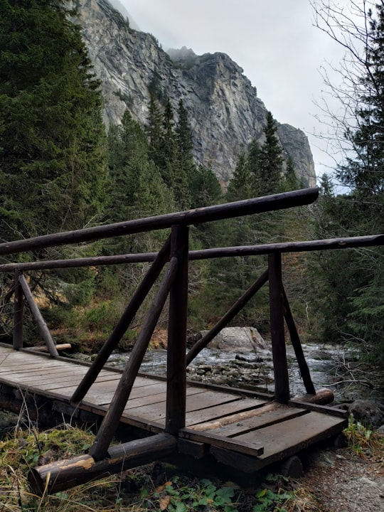 brown wooden bridge in High Tatras Slovakia