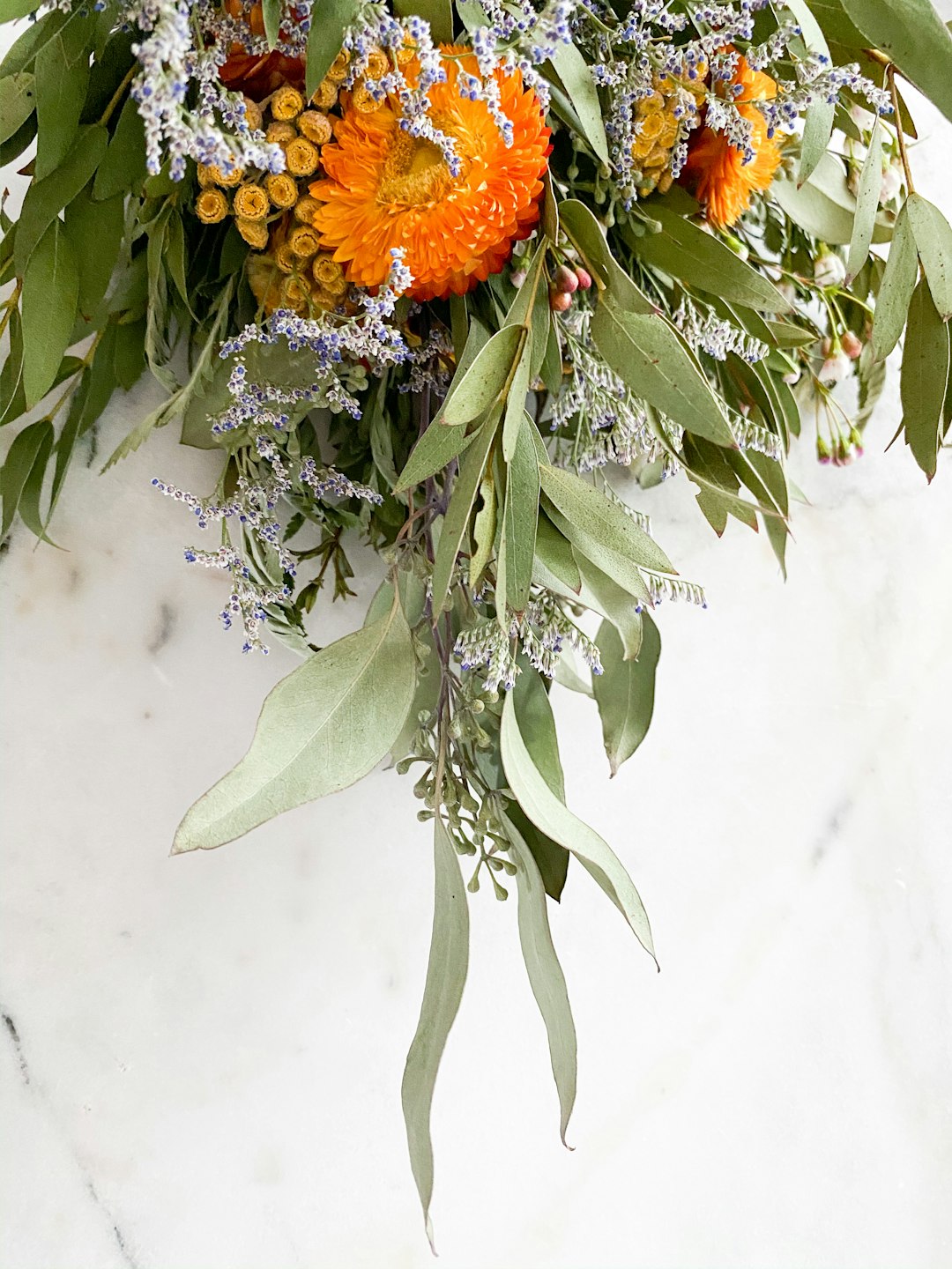 orange and gray flowers with green leaves on white surface