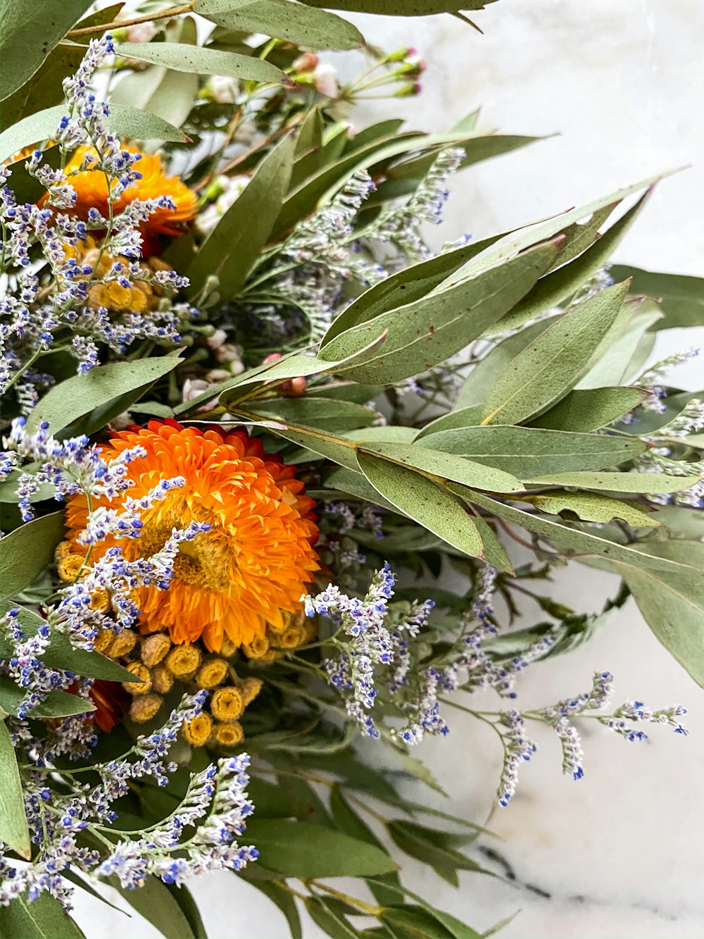 selective focus photography of orange and gray petaled flower centerpiece
