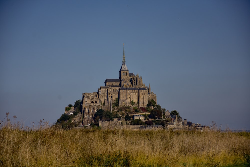 brown castle on cliff