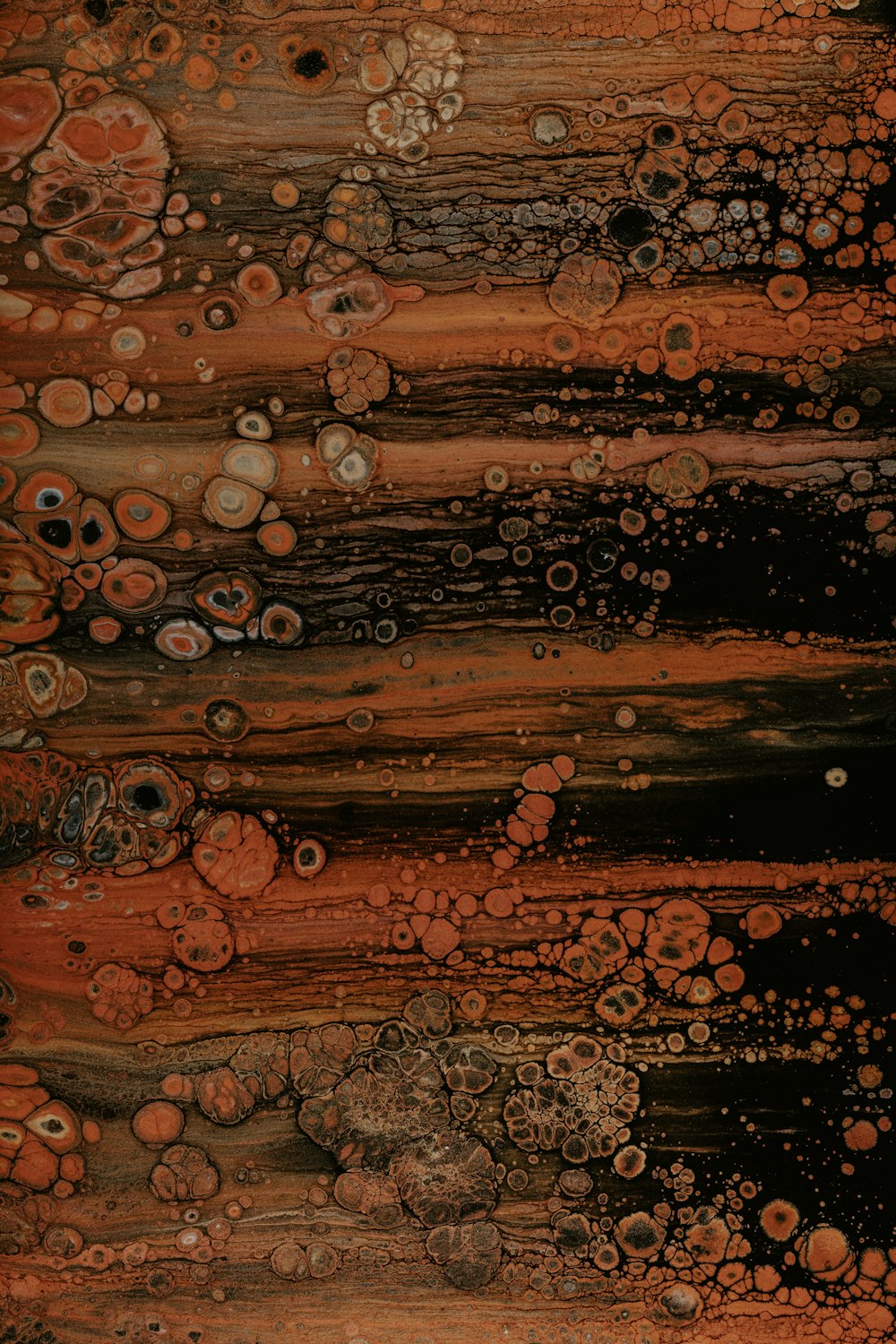 a close up of a piece of wood