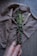 A hand holding a bundle of dried herbs wrapped together with twine. The bundle includes green leaves and small purple flowers. It rests against a wrinkled fabric background and a piece of wood is visible lying on the fabric.