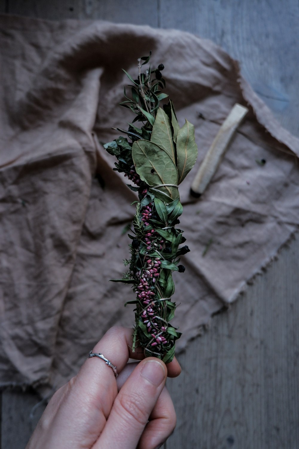 person holding green leaf