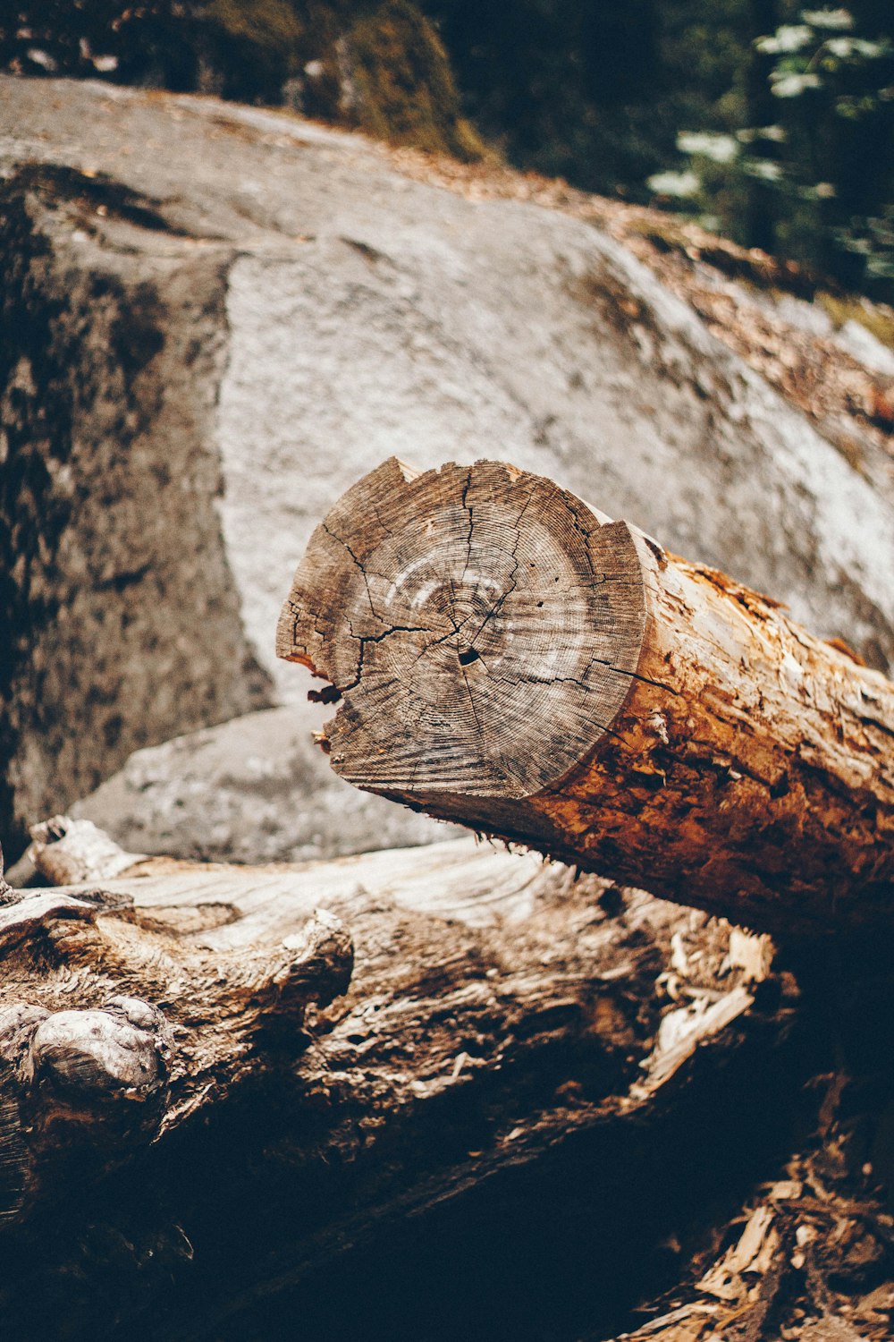 brown wood log