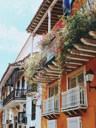 hanged plants on bascony