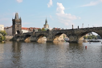 brown bridge