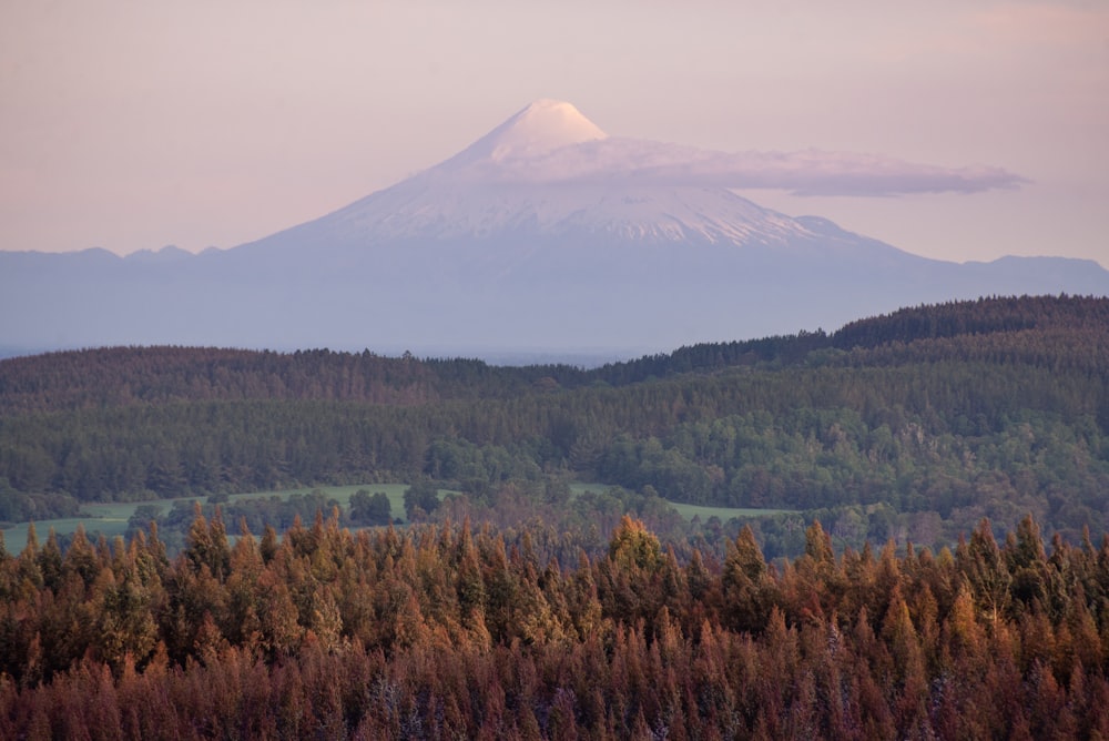 snow capped mountain