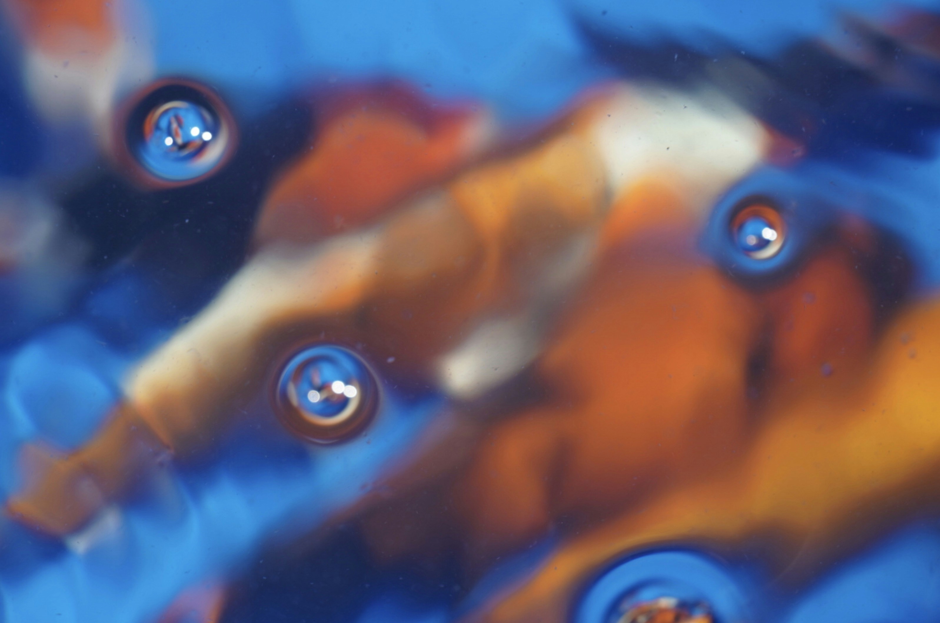 Photo by thalia_s_ruiz