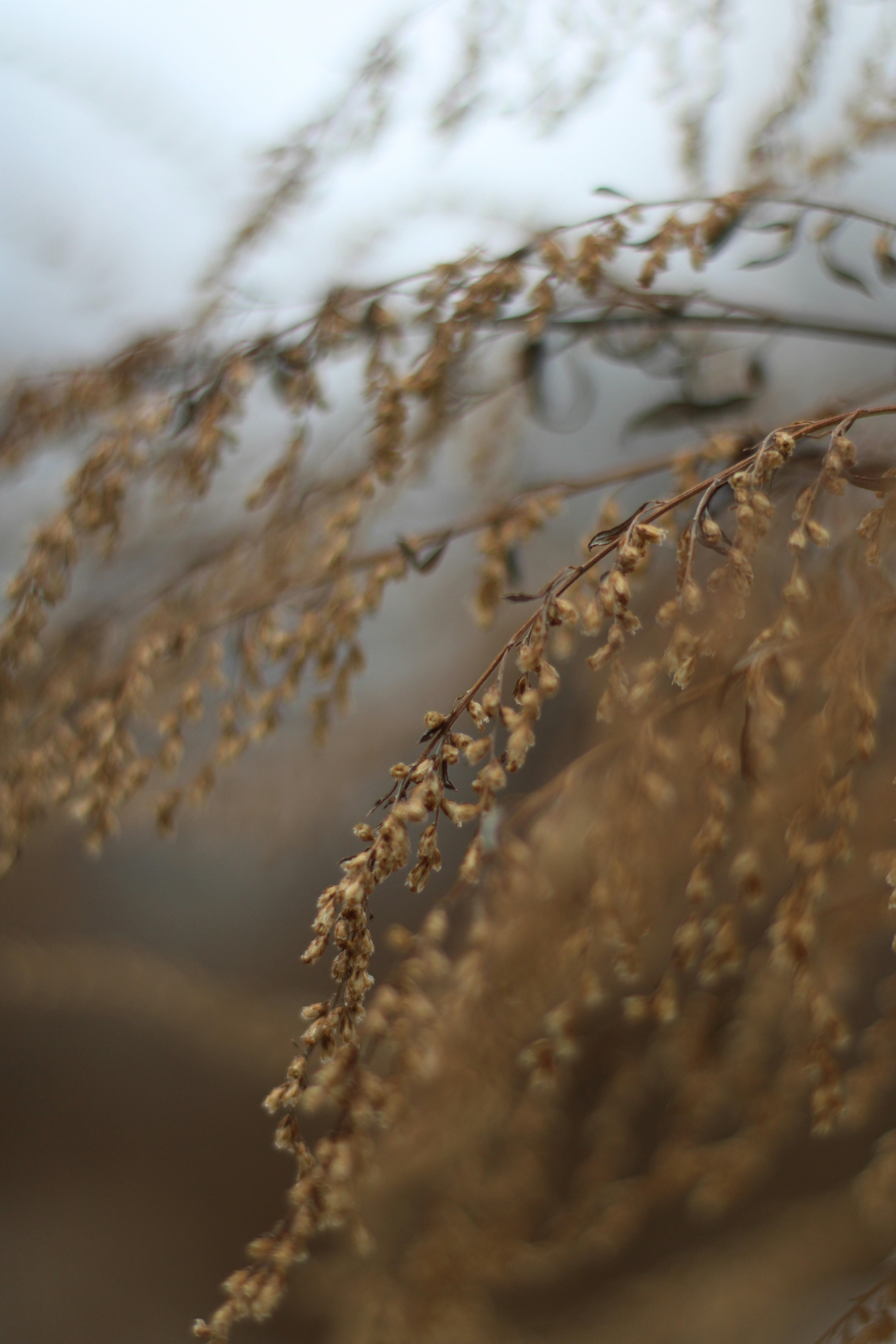 Photo by karleeleclair