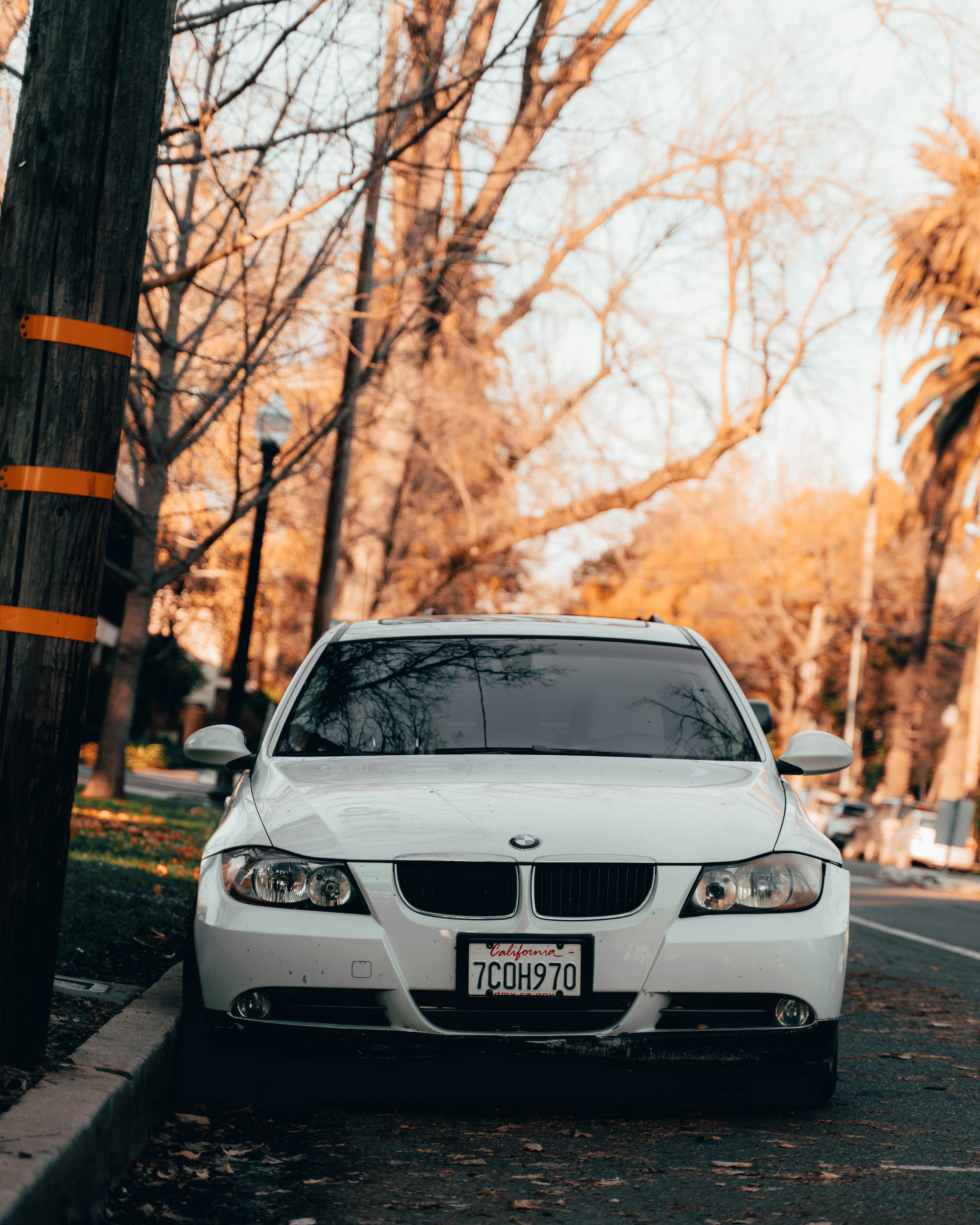 white BMW car beside road