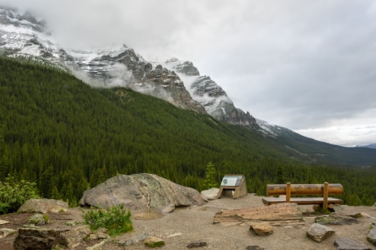 bench on hill in Moraine Lake Canada