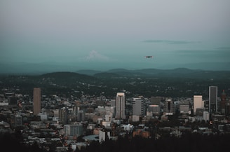 A cityscape with tall buildings in the foreground and a mountain in the distance under a cloudy sky. A drone is flying above the city.