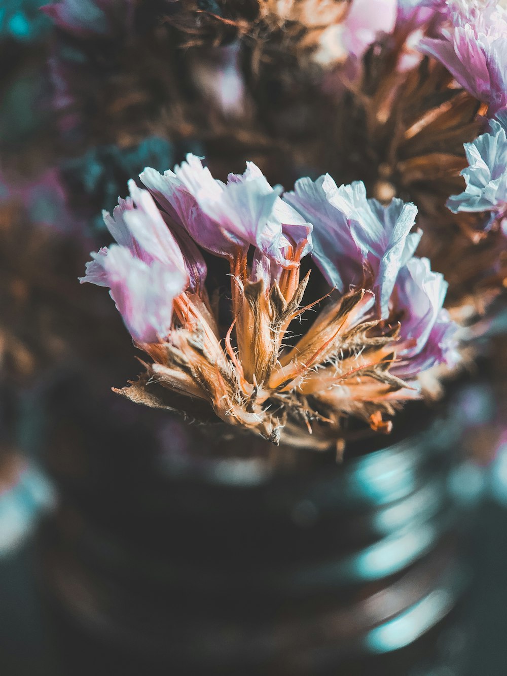 blue-petaled flowers