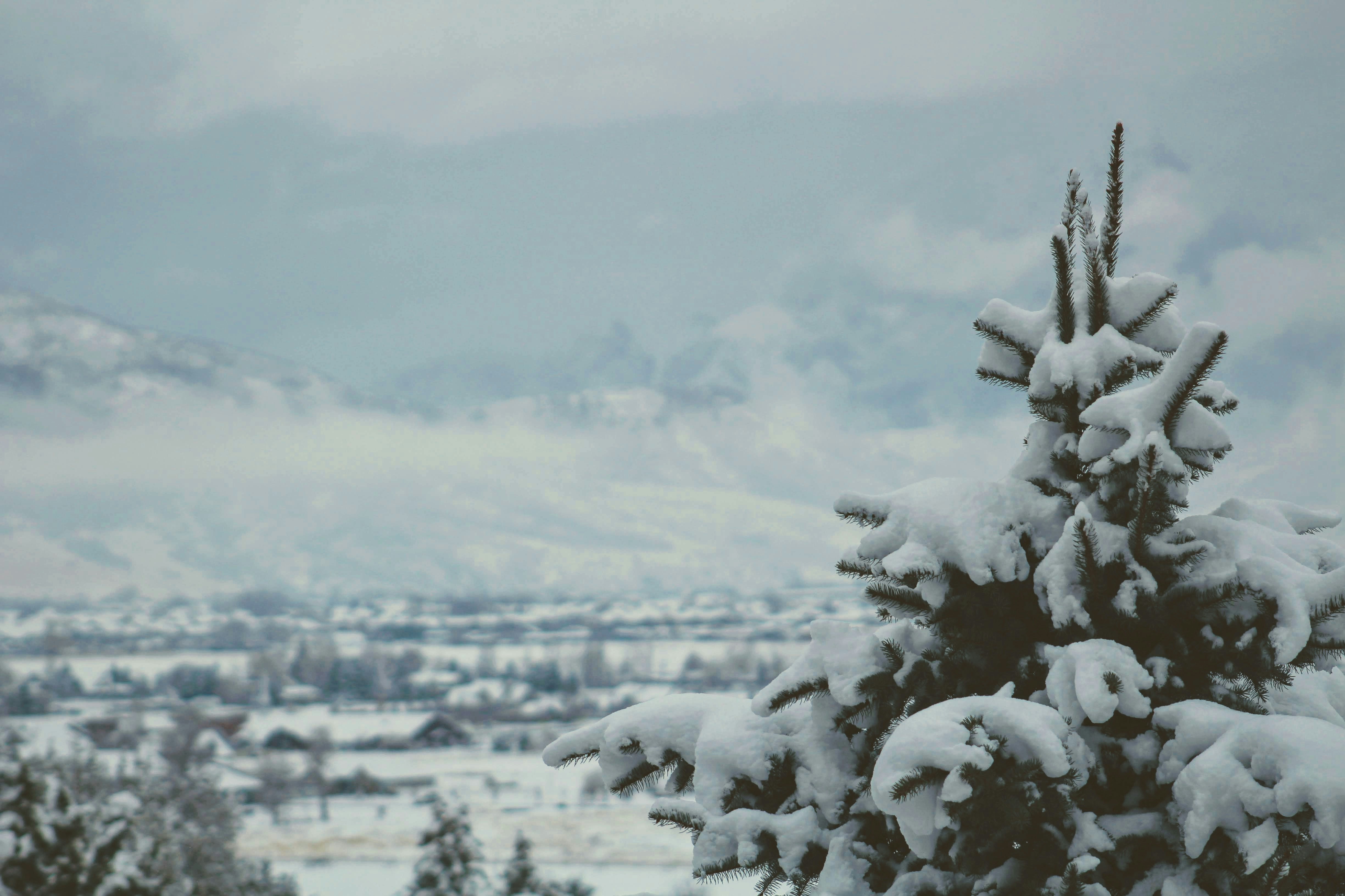 Photo by joshua_hoehne