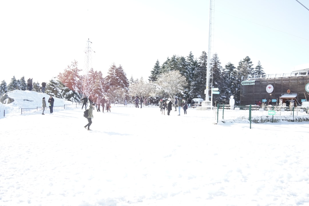 Panorama photo spot Bursa İstanbul